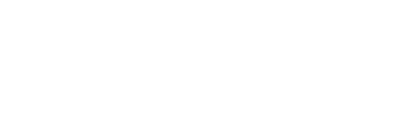 Morgan Stanley Securities (China)
